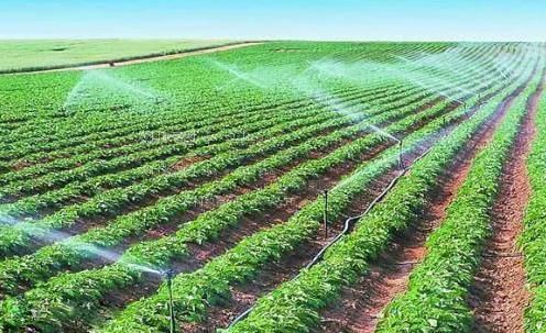 搞处女最新网站大全在线观看视频播放下载免费农田高 效节水灌溉
